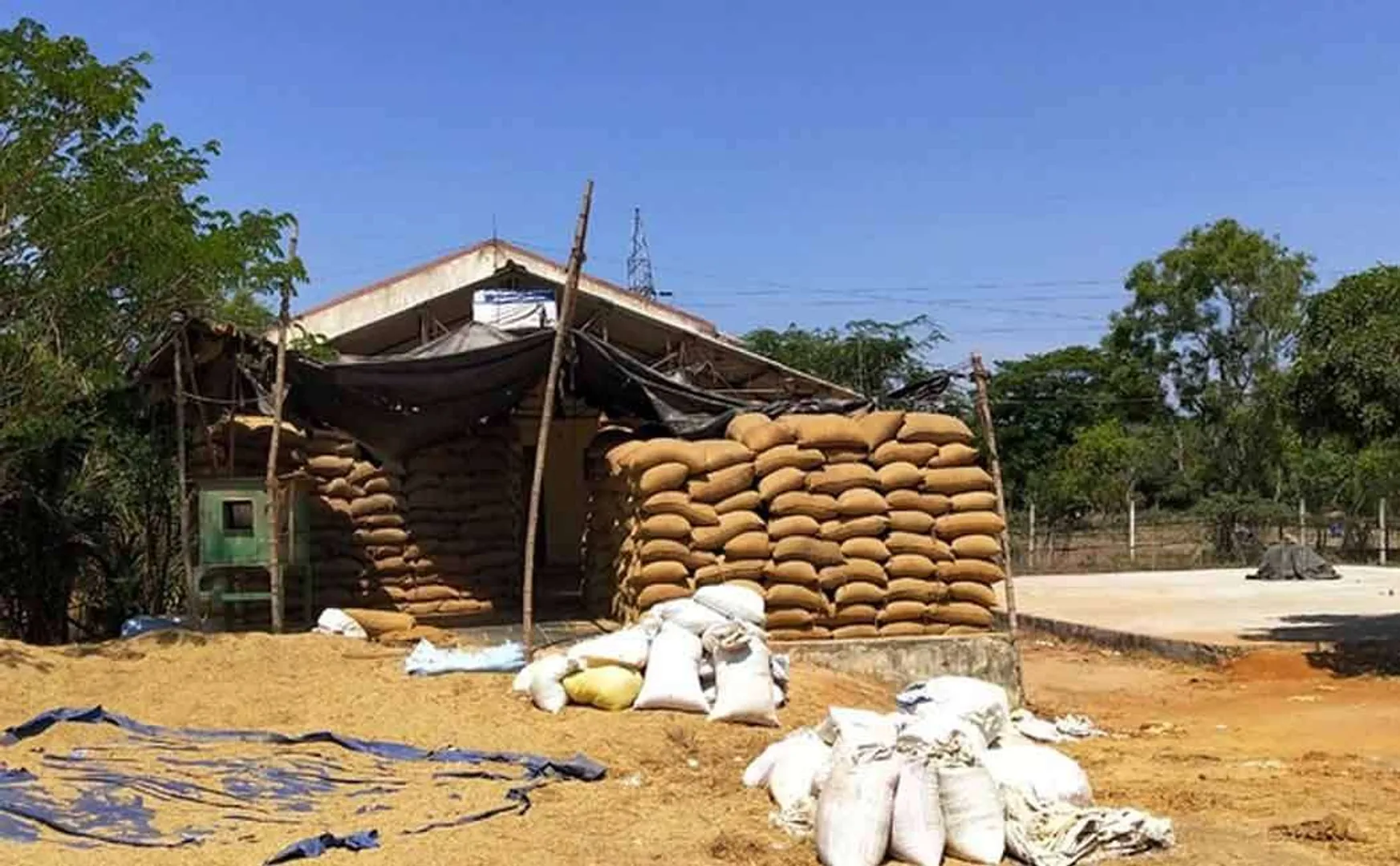 Paddy purchase has started farmers tamilnadu government 